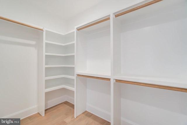 spacious closet with light wood-type flooring