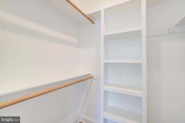 view of walk in closet