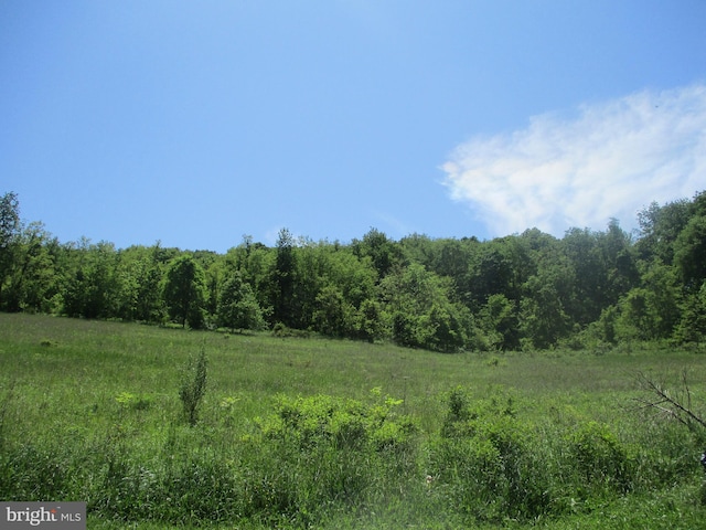 view of nature with a rural view