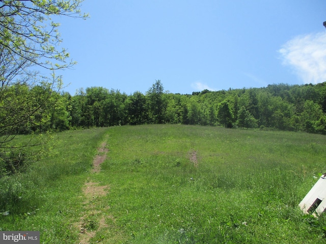 view of local wilderness