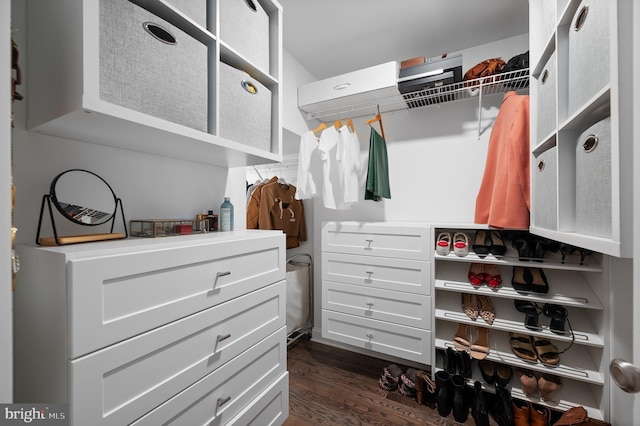 spacious closet with dark wood-type flooring