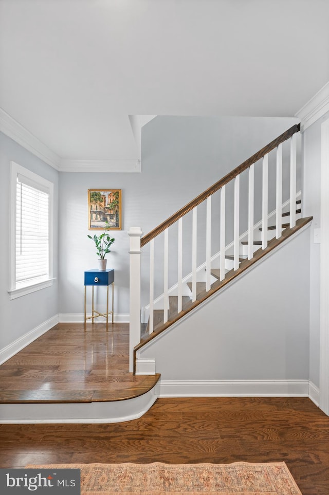 staircase featuring wood-type flooring and ornamental molding