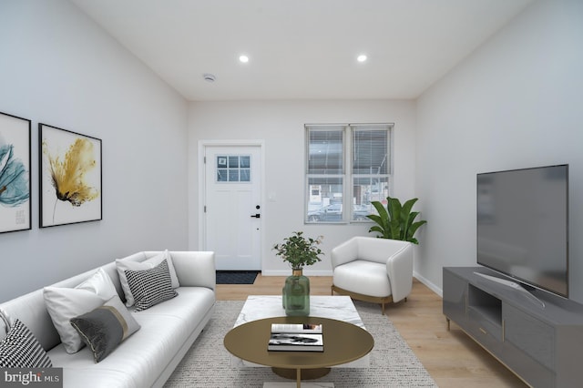 living room with light wood-type flooring