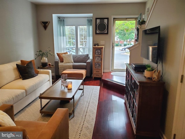 living room featuring dark hardwood / wood-style flooring