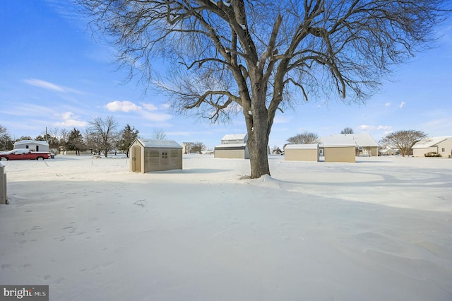 yard layered in snow with a shed