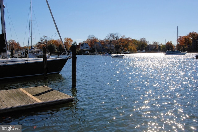 dock area with a water view