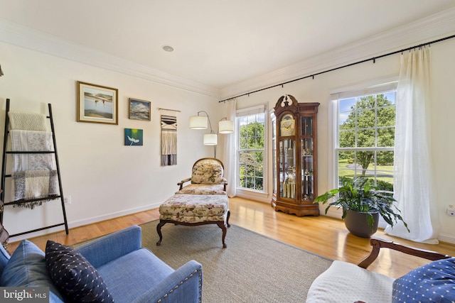 sitting room with hardwood / wood-style flooring and ornamental molding