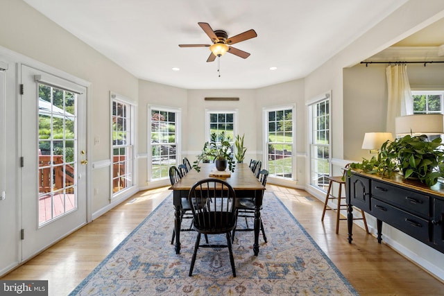 dining room featuring ceiling fan and light hardwood / wood-style flooring