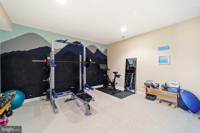 exercise room featuring carpet