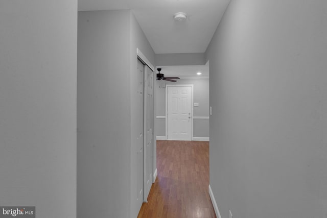 hallway with wood-type flooring