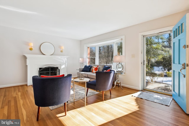 living room with wood-type flooring