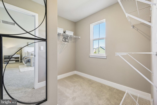 spacious closet featuring light carpet