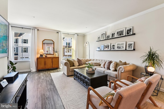 living room featuring hardwood / wood-style floors and ornamental molding