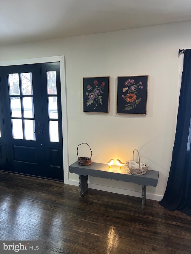 foyer entrance featuring dark wood-type flooring