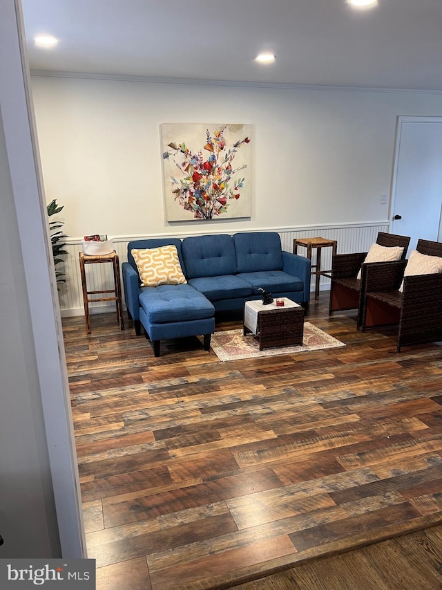 living room featuring dark wood-type flooring