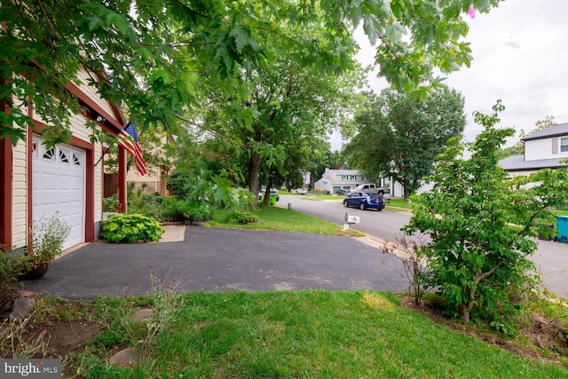 9416 Mirror Pond Dr, Fairfax, VA 22032 - view of yard