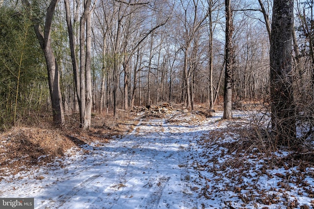 LOT39 Stony Brook Rd, Hopewell NJ, 08525 land for sale