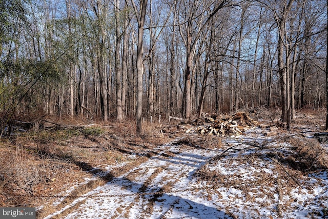 Listing photo 2 for LOT39 Stony Brook Rd, Hopewell NJ 08525