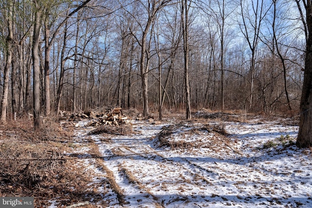 Listing photo 3 for LOT39 Stony Brook Rd, Hopewell NJ 08525