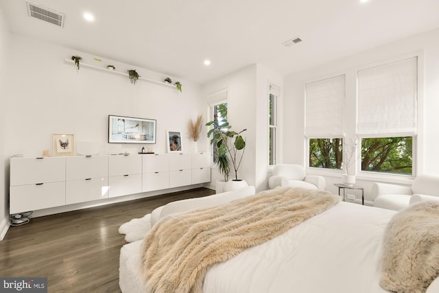 bedroom featuring dark wood-type flooring and multiple windows