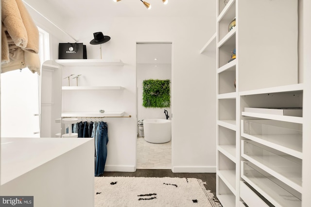 spacious closet with dark wood-type flooring