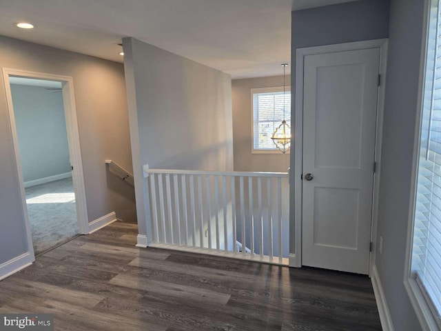 interior space featuring dark hardwood / wood-style flooring