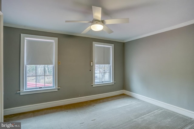 carpeted spare room with ceiling fan and ornamental molding