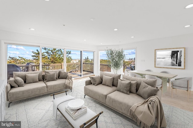 living room featuring a healthy amount of sunlight