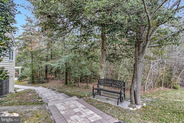 view of yard featuring a view of trees