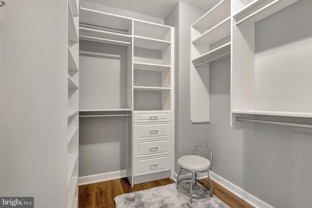 walk in closet with wood finished floors