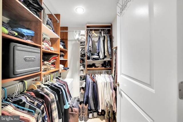 view of spacious closet