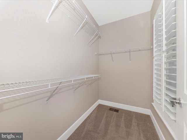 walk in closet featuring carpet floors