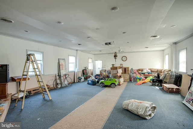 interior space with carpet and ornamental molding