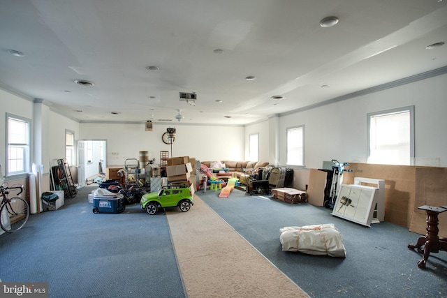 miscellaneous room with carpet, crown molding, and a healthy amount of sunlight