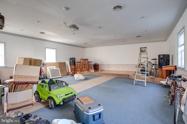 miscellaneous room featuring a wealth of natural light and crown molding