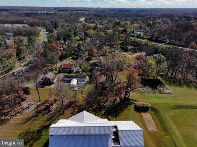 bird's eye view