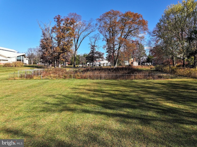 view of yard