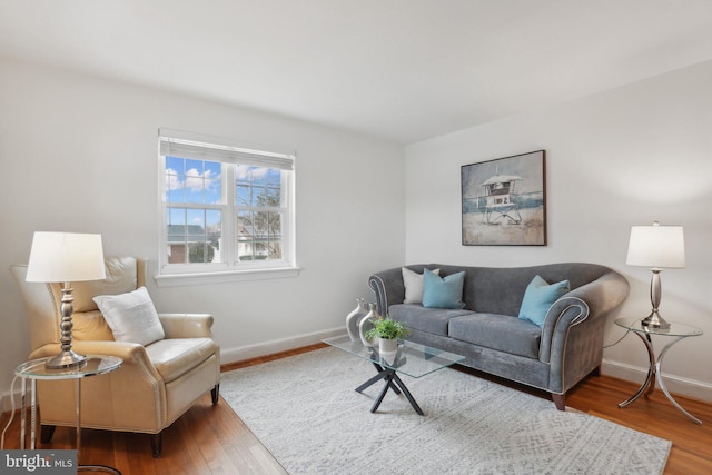 living room with hardwood / wood-style flooring