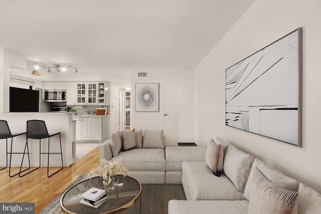 living room featuring light hardwood / wood-style floors