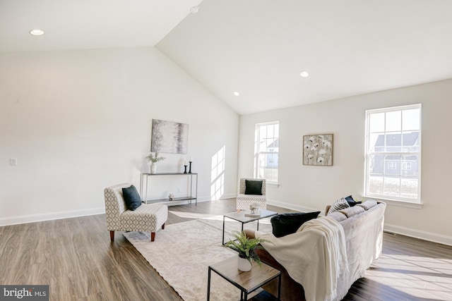 living room featuring high vaulted ceiling and wood-type flooring