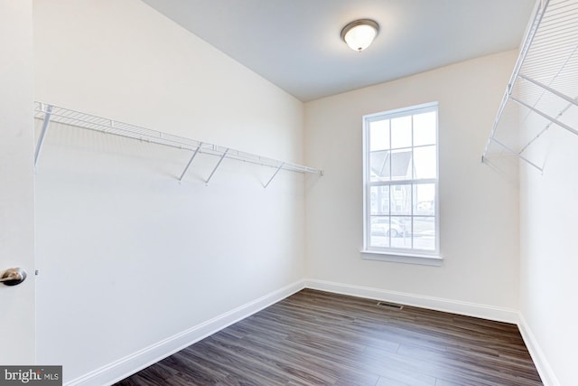 walk in closet featuring dark wood-type flooring