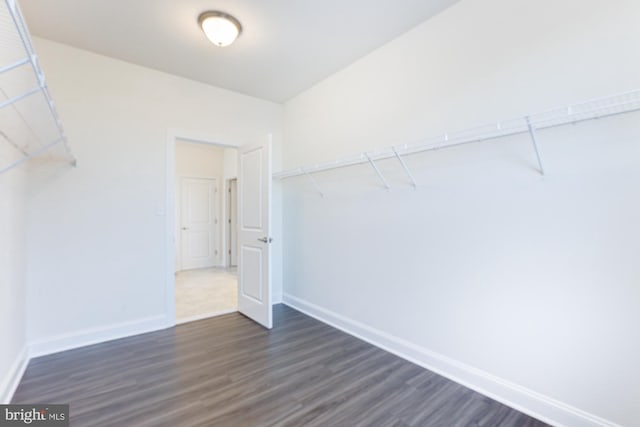 spacious closet with dark wood-type flooring