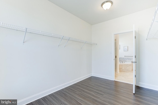 spacious closet with dark hardwood / wood-style floors