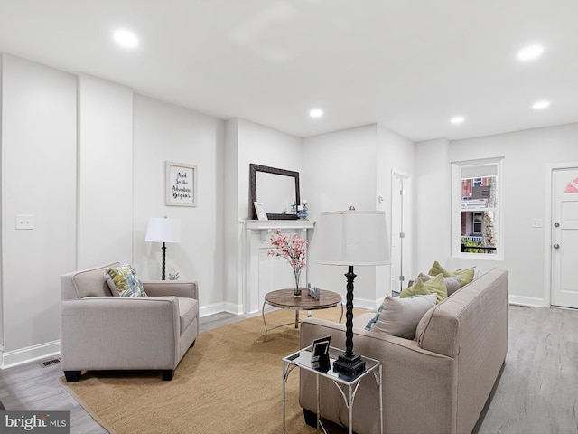 living room with wood-type flooring