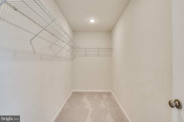 spacious closet with carpet floors