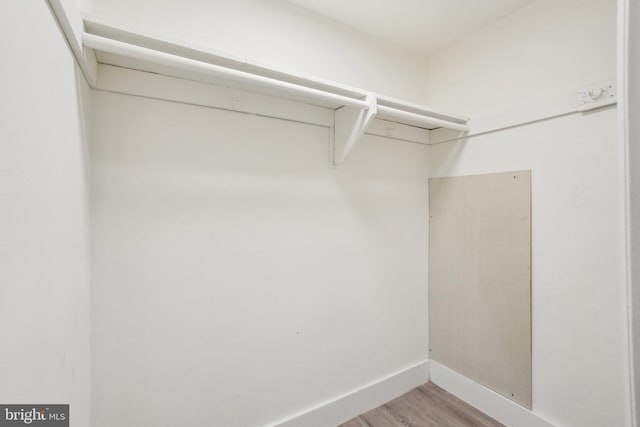 walk in closet with light wood-type flooring