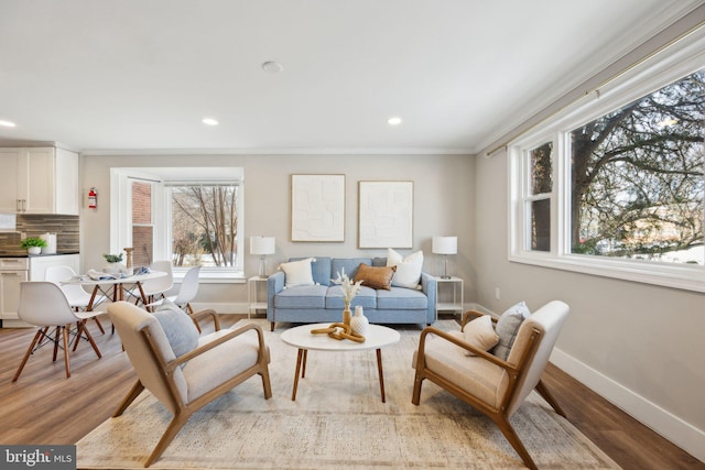 living room with ornamental molding and light hardwood / wood-style flooring