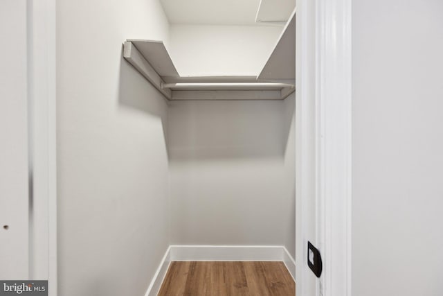 walk in closet with hardwood / wood-style floors