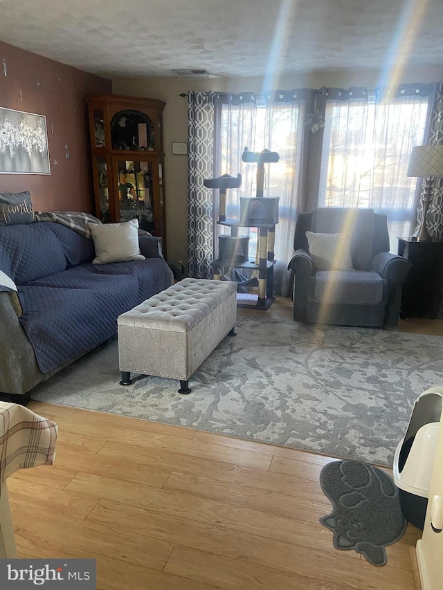 living room with hardwood / wood-style flooring