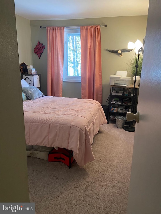 bedroom featuring carpet floors